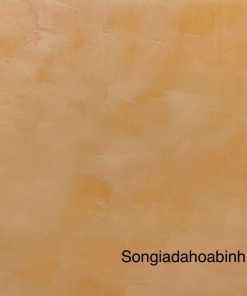 Sơn Hiệu Ứng PT09