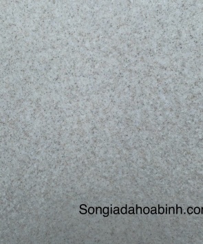 sơn giả đá hạt - SGDH 09