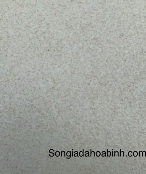 sơn giả đá hạt - SGDH 08