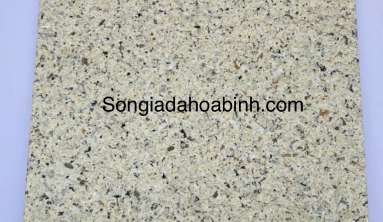 Sơn Giả Đá Hoa Cương - SDH 0123